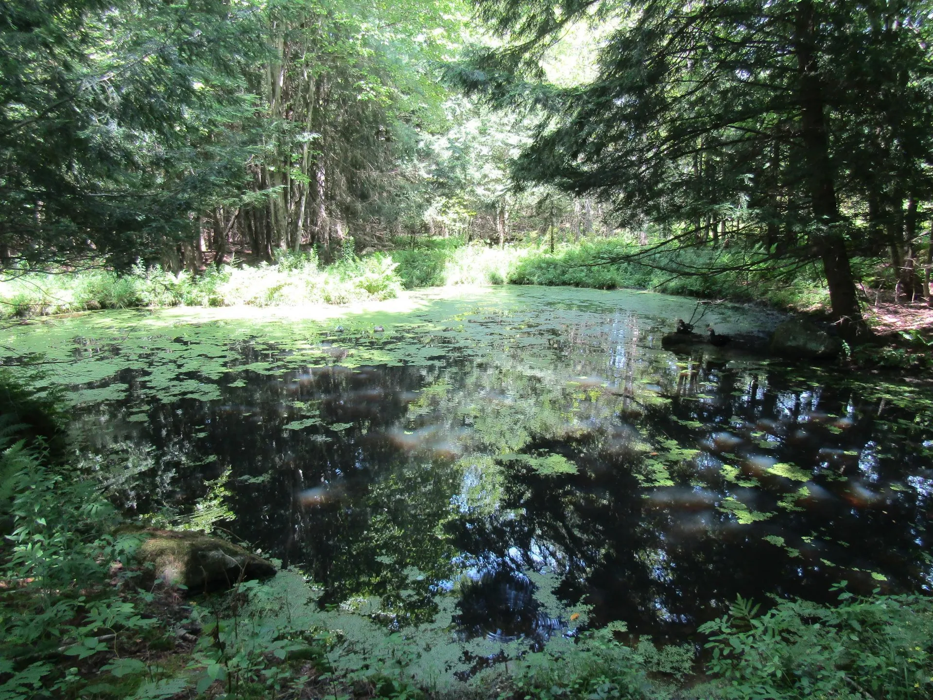 1285 Witchcat Road Bakersfield VT 05441