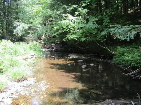 1285 Witchcat Road Bakersfield VT 05441