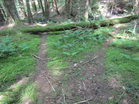 1285 Witchcat Road Bakersfield VT 05441