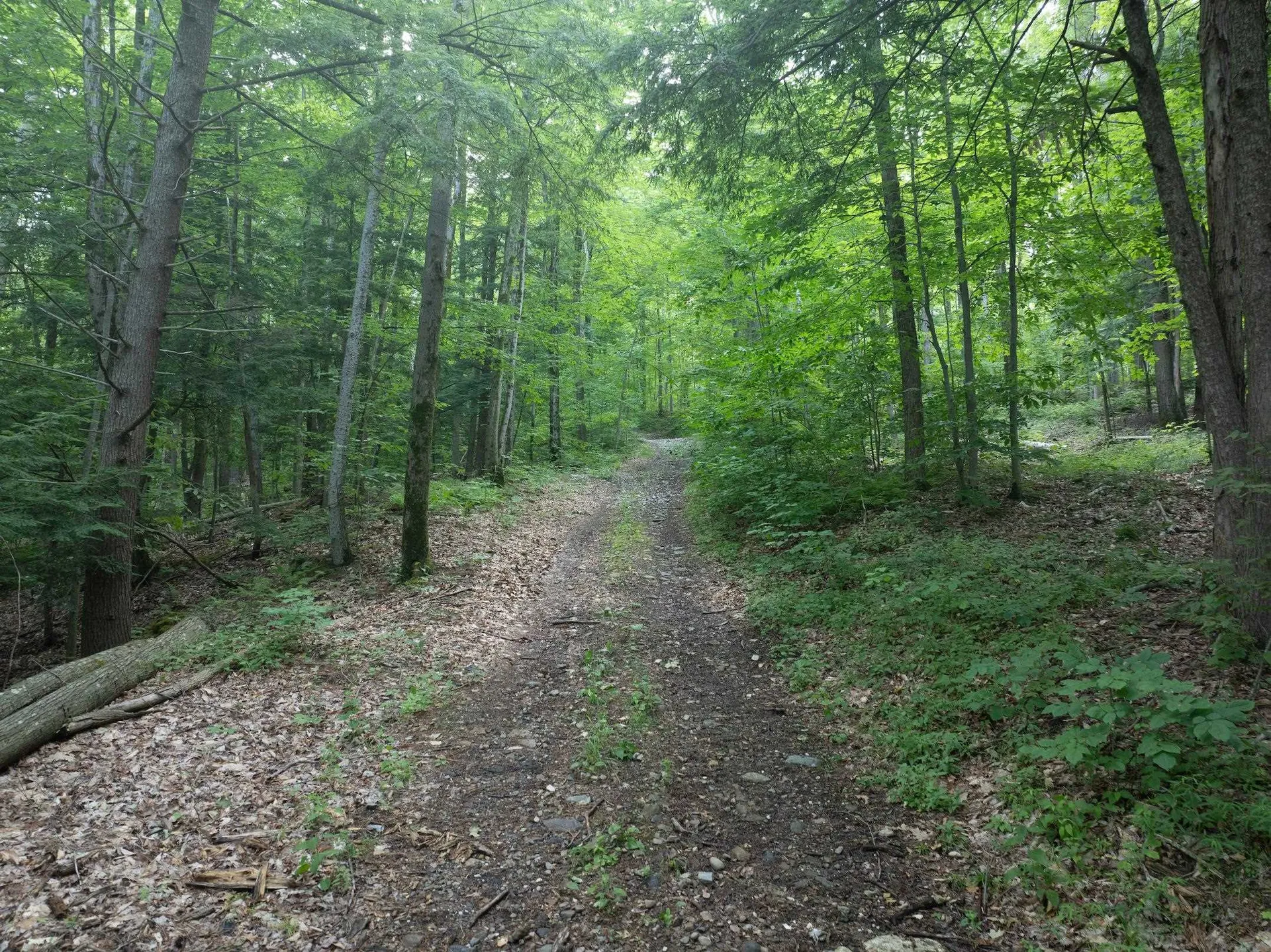 476 Nxt Lincoln Road Williston VT 05495