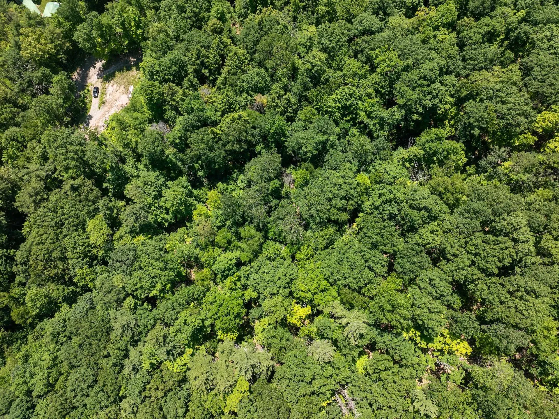 476 Nxt Lincoln Road Williston VT 05495