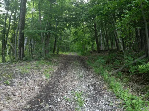 476 Nxt Lincoln Road Williston VT 05495