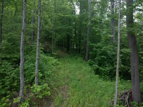 476 Nxt Lincoln Road Williston VT 05495