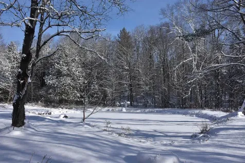 1078 Brook Road Marshfield VT 05658