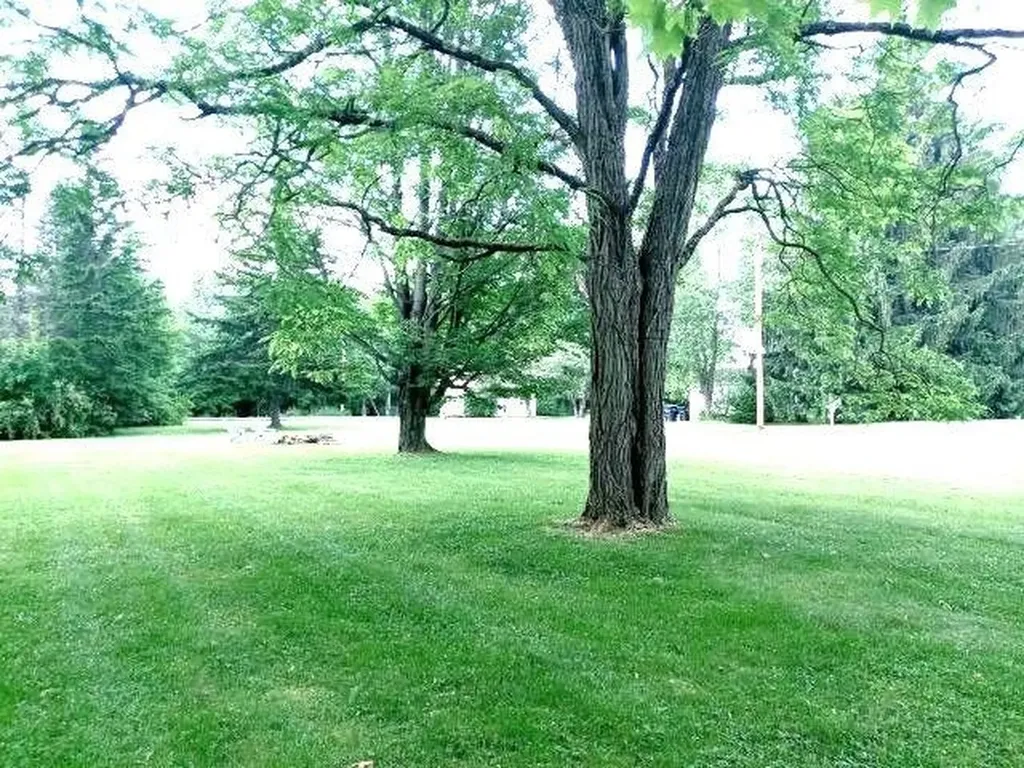 41 Meadow Street Bethlehem NH 03574