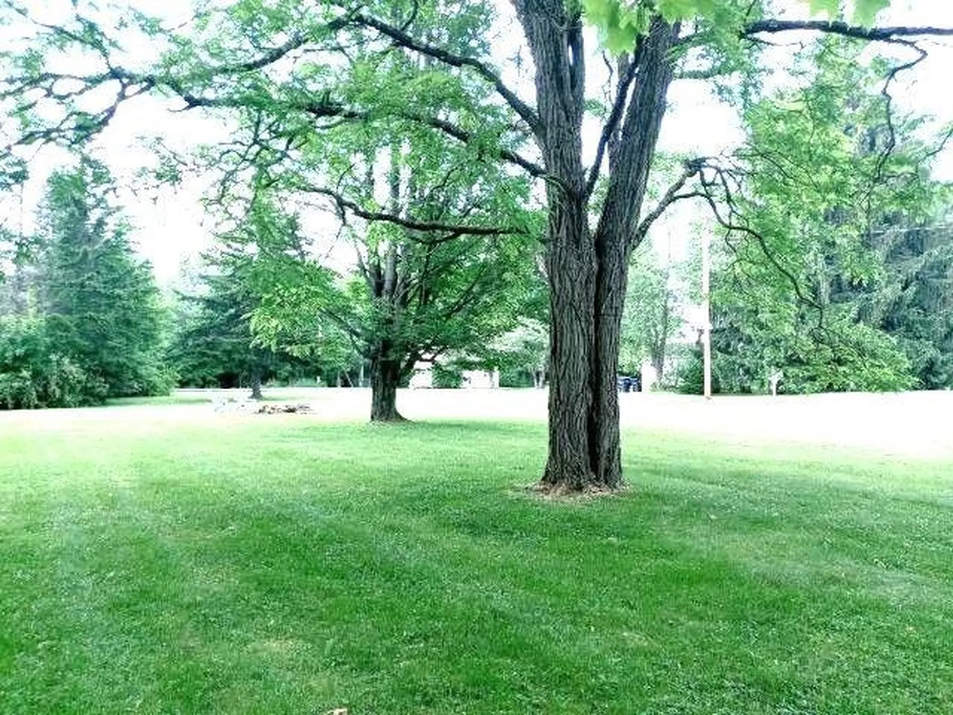 41 Meadow Street Bethlehem NH 03574