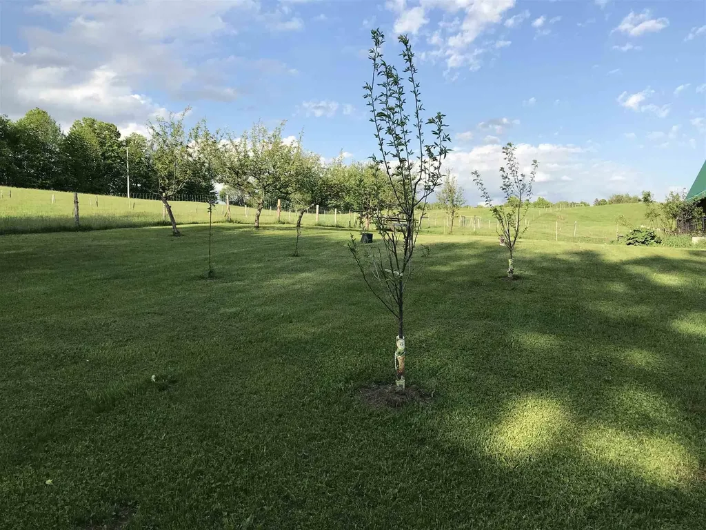 2066 Hinman Settler Road Brownington VT 05860