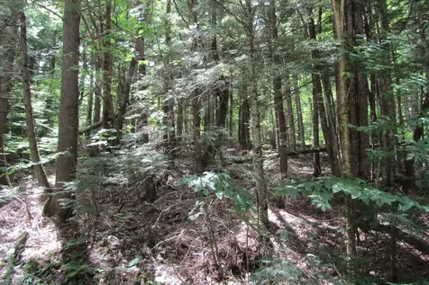 00 Hanover Drive Haverhill NH 03785