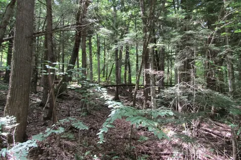 00 Hanover Drive Haverhill NH 03785