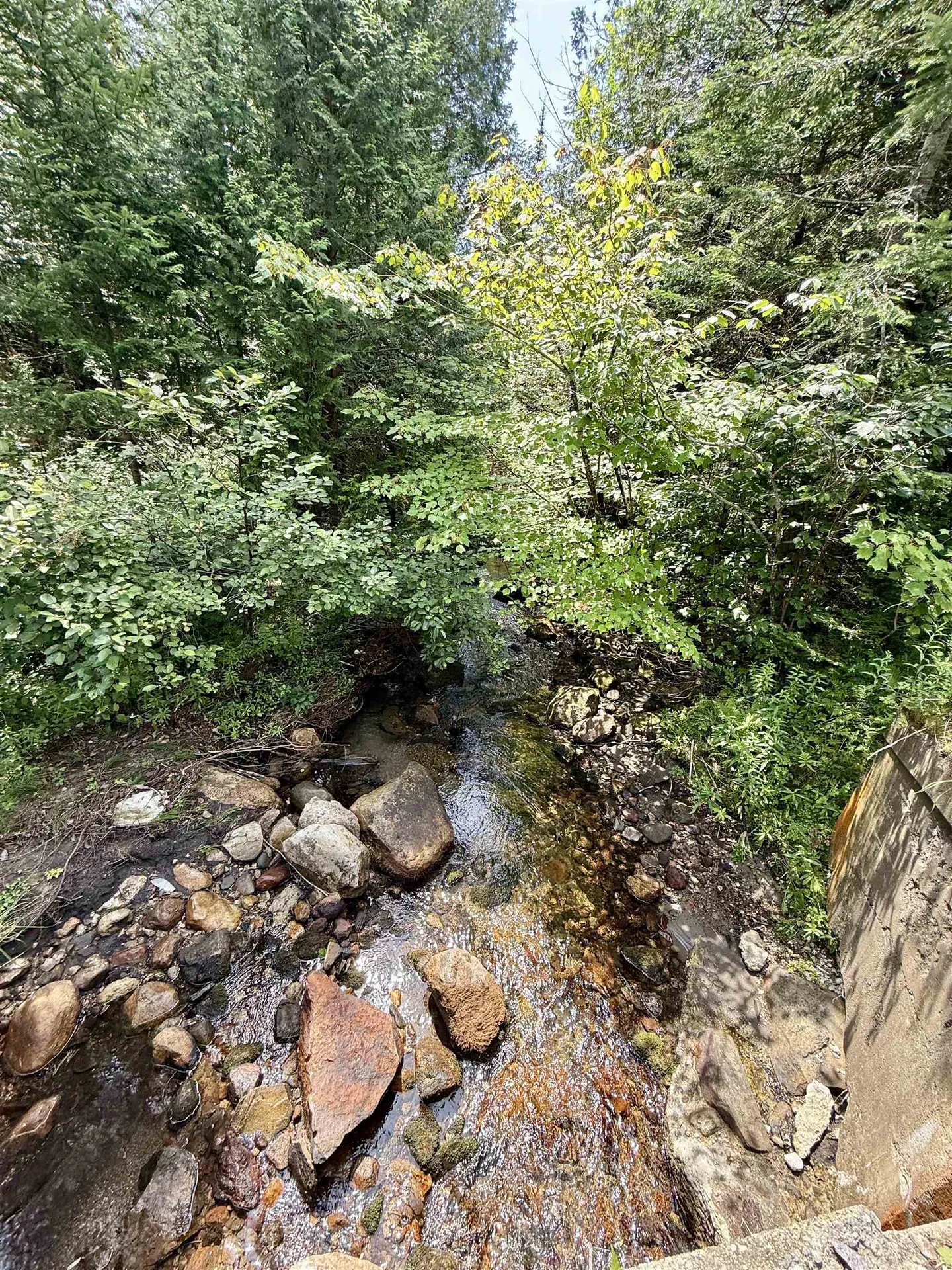 0 Newark Street Burke VT 05871