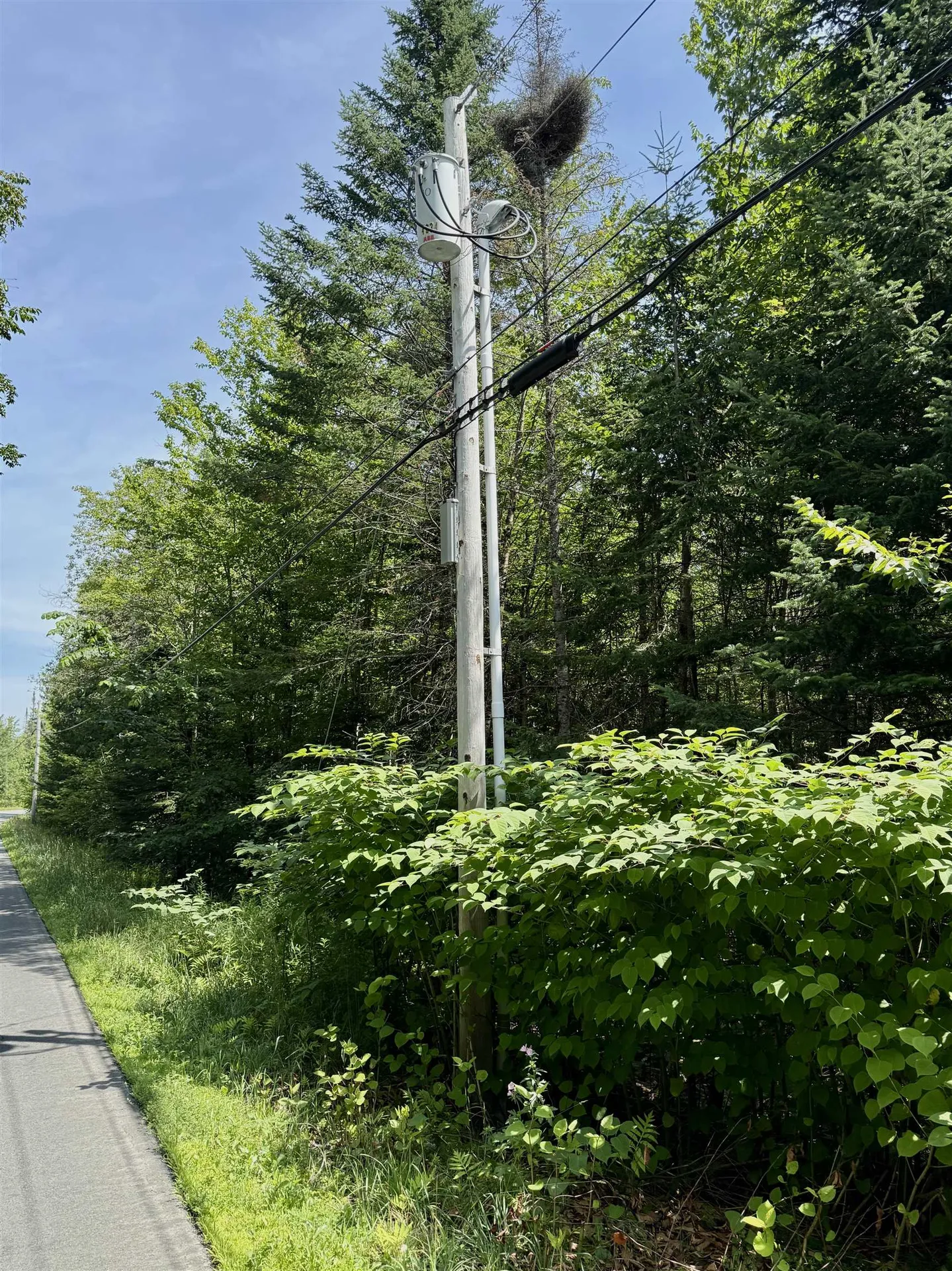 0 Newark Street Burke VT 05871