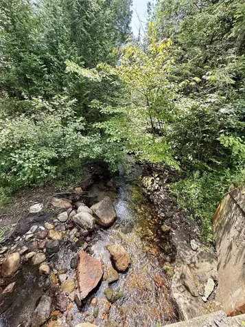 0 Newark Street Burke VT 05871