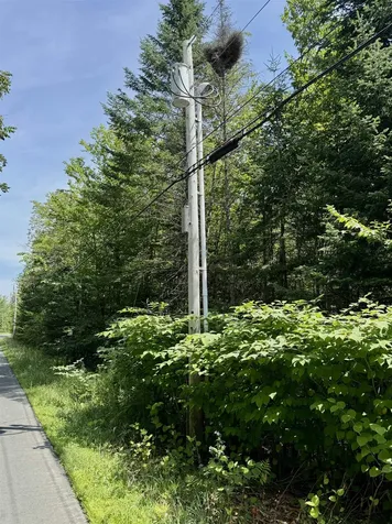 0 Newark Street Burke VT 05871