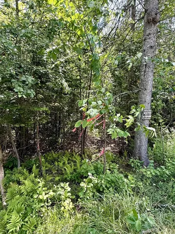 0 Newark Street Burke VT 05871