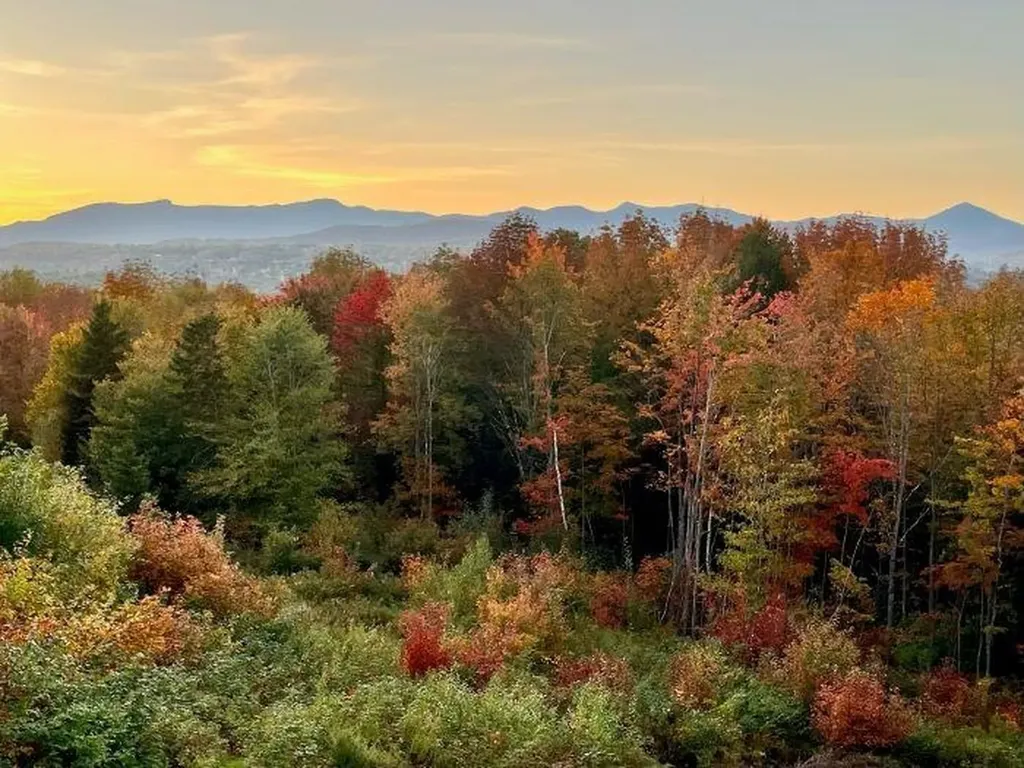 688 Glenbrook Road Stowe VT 05672