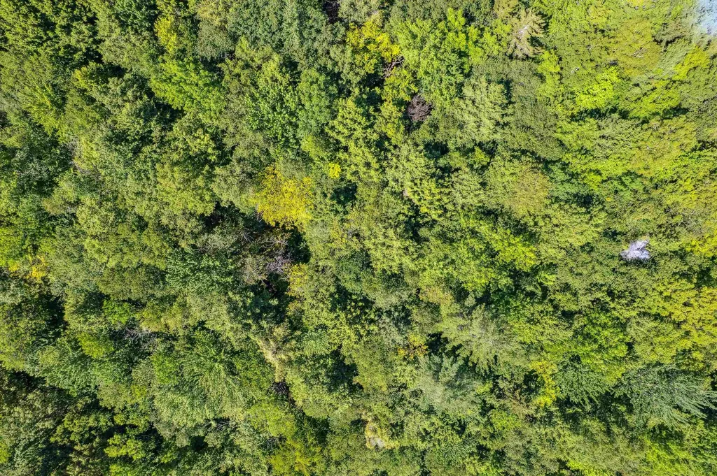 0 Porter Road Barnard VT 05031