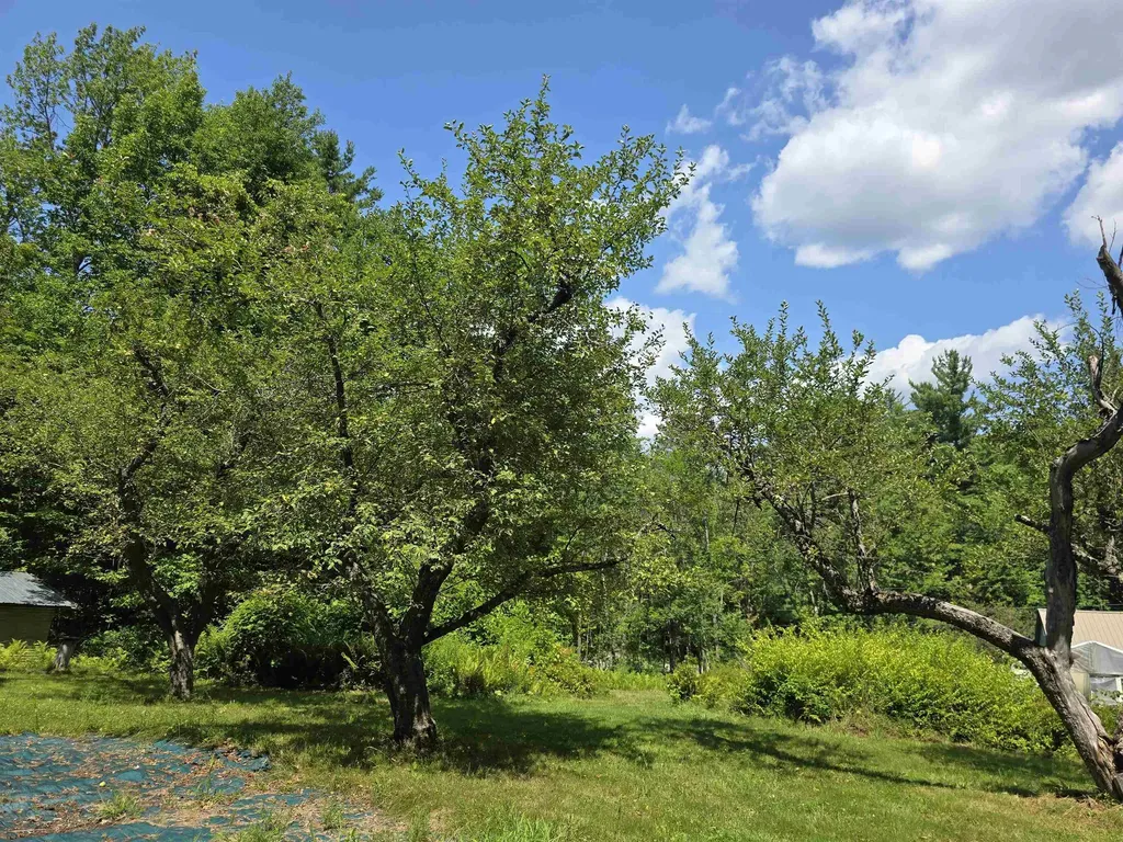 786 Washington Road Goshen NH 03752