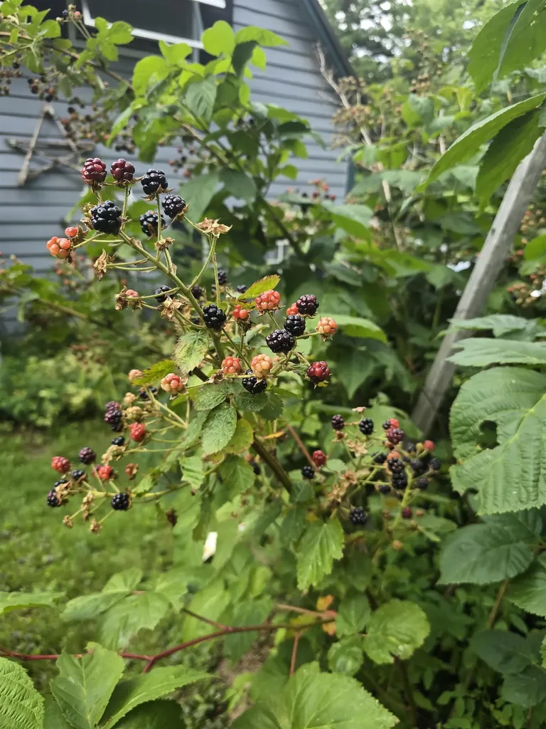 786 Washington Road Goshen NH 03752