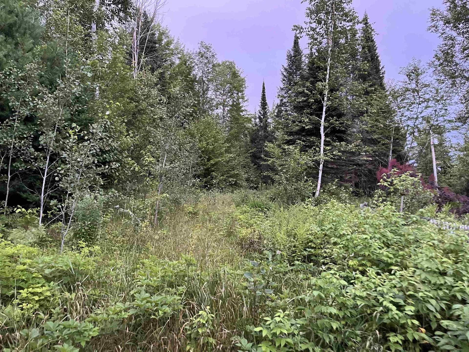 125 Mcconnell Pond Road Brighton VT 05846