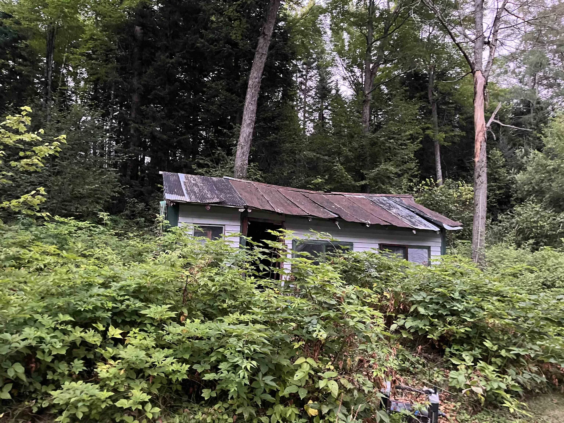 125 Mcconnell Pond Road Brighton VT 05846