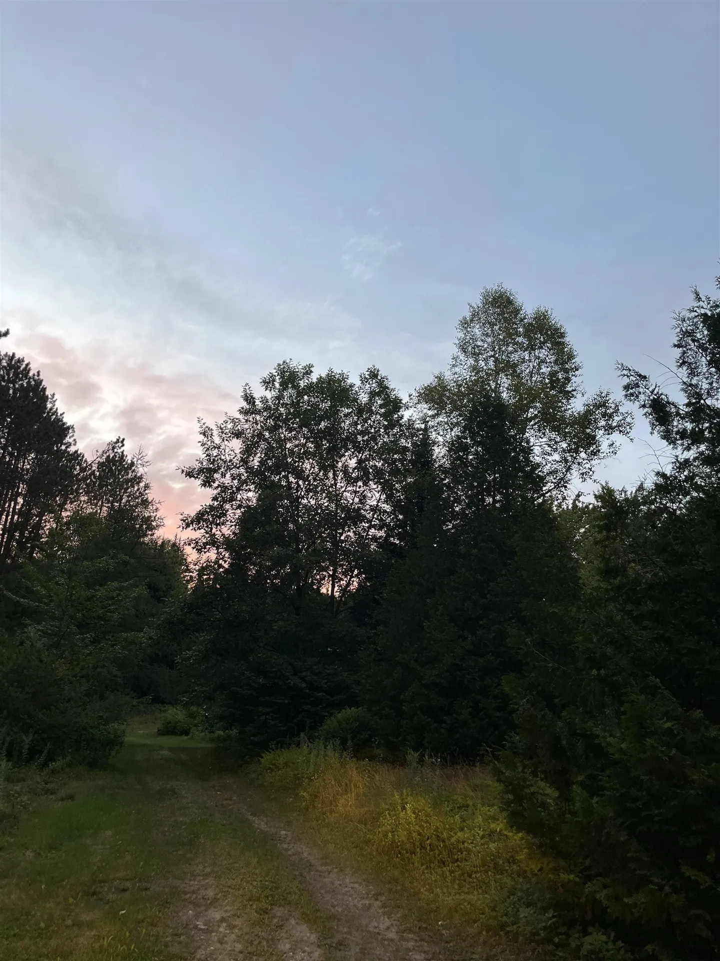 125 Mcconnell Pond Road Brighton VT 05846