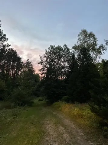 125 Mcconnell Pond Road Brighton VT 05846