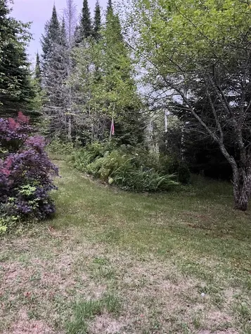 125 Mcconnell Pond Road Brighton VT 05846