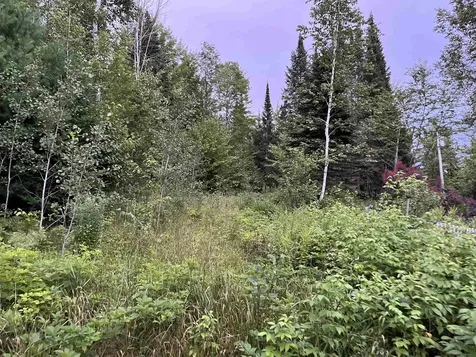 125 Mcconnell Pond Road Brighton VT 05846