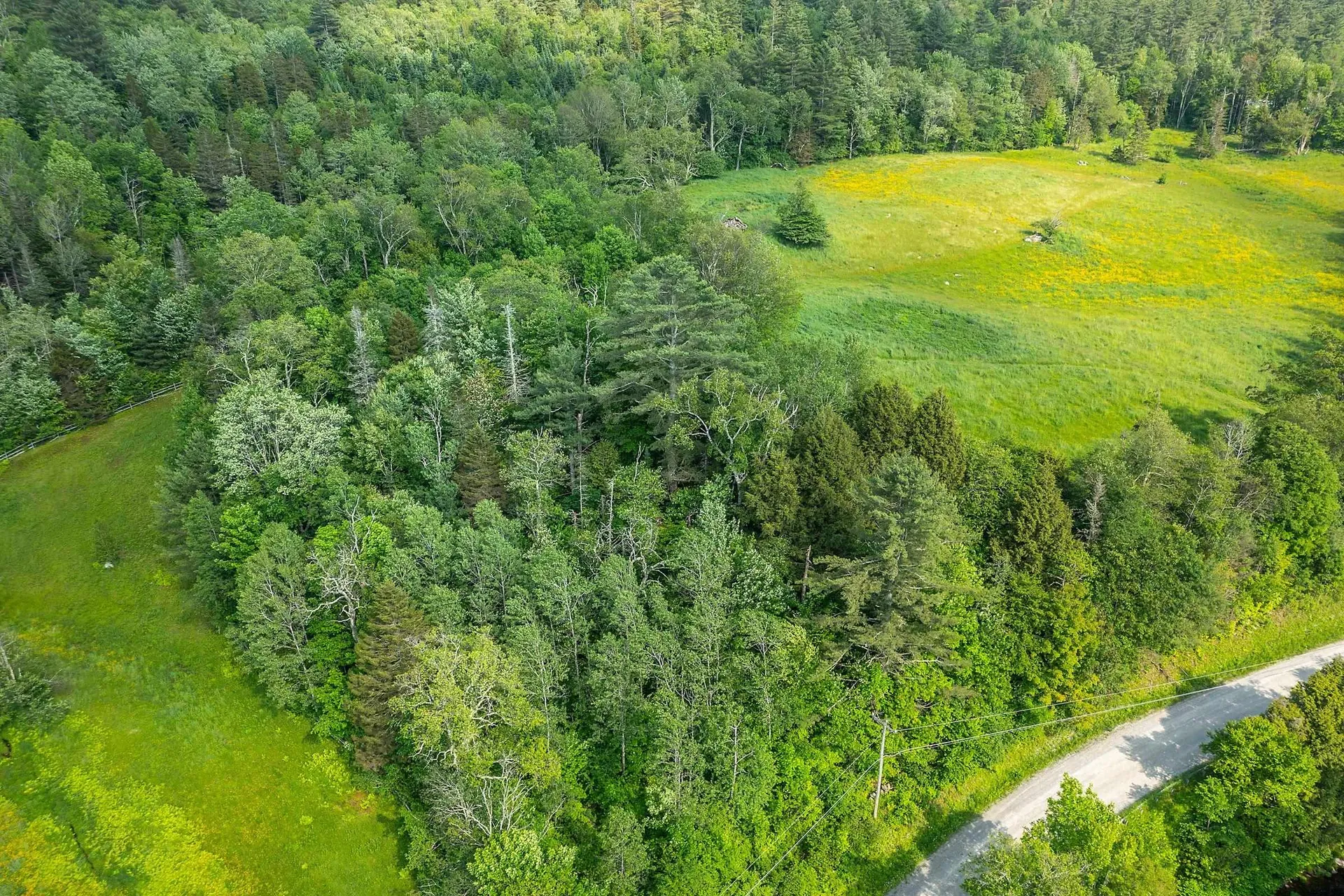 11 And 12 Boynton Road Weston VT 05161