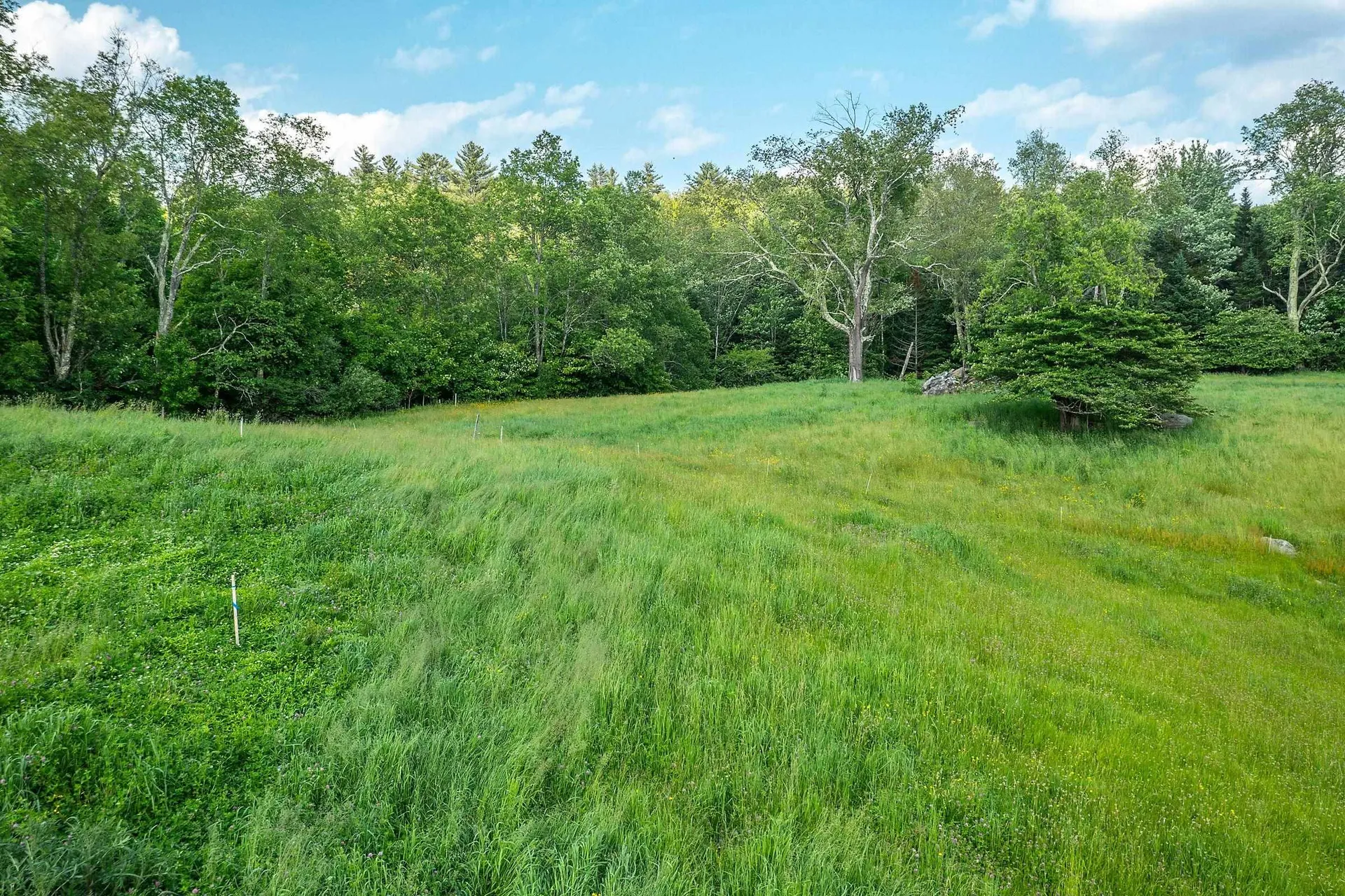 11 And 12 Boynton Road Weston VT 05161