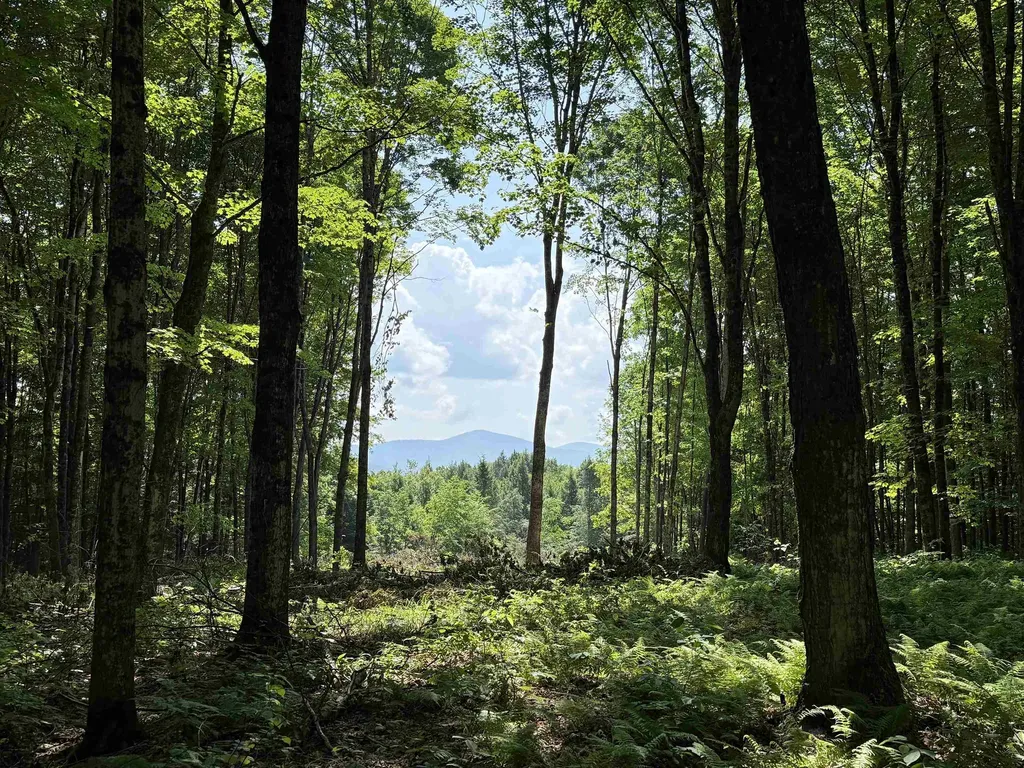 00 Vt Route 14 East Montpelier VT 05651