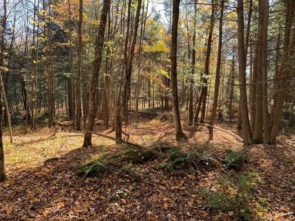 00 Vt Route 14 East Montpelier VT 05651