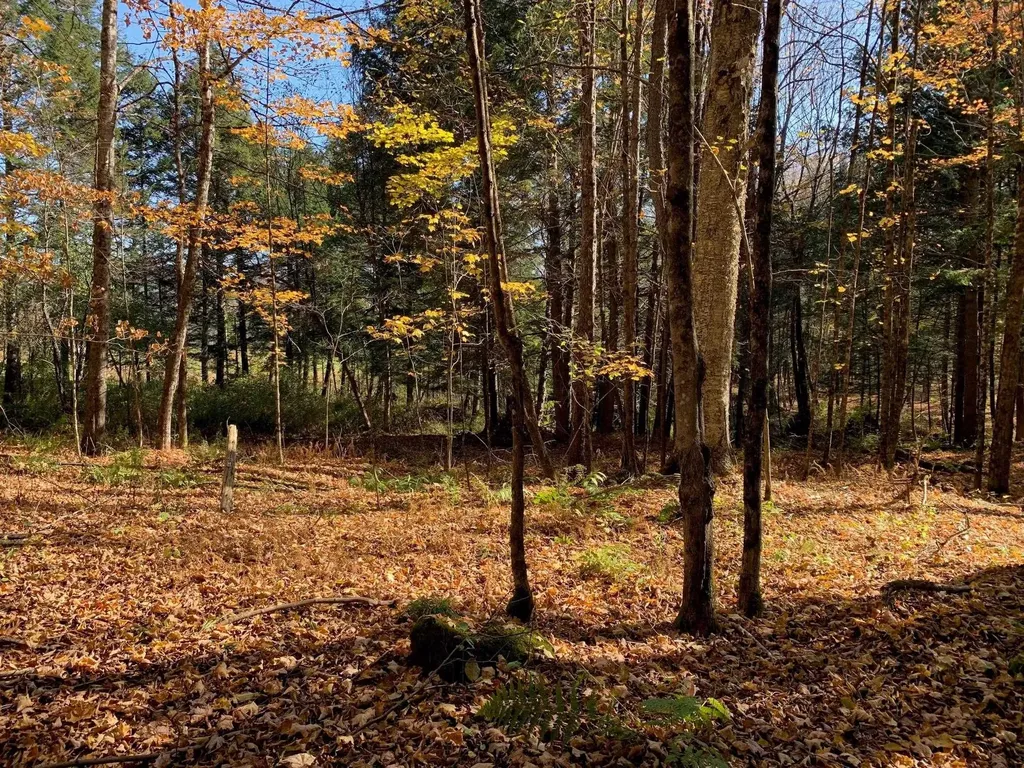 00 Vt Route 14 East Montpelier VT 05651