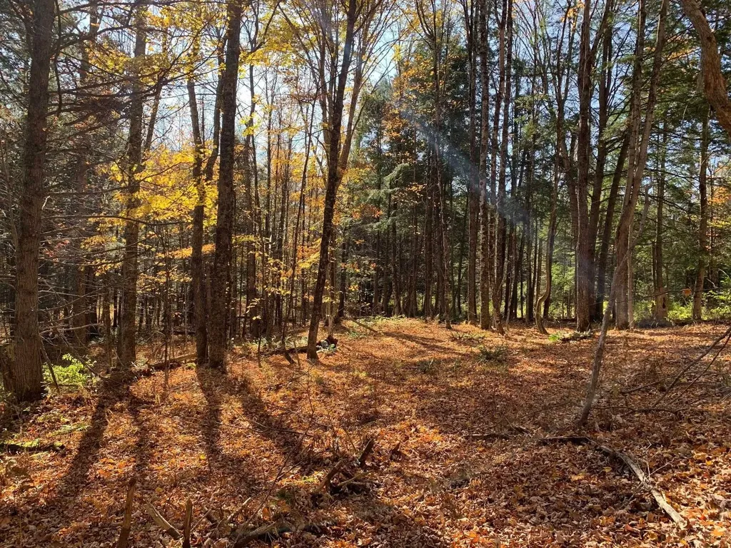 00 Vt Route 14 East Montpelier VT 05651