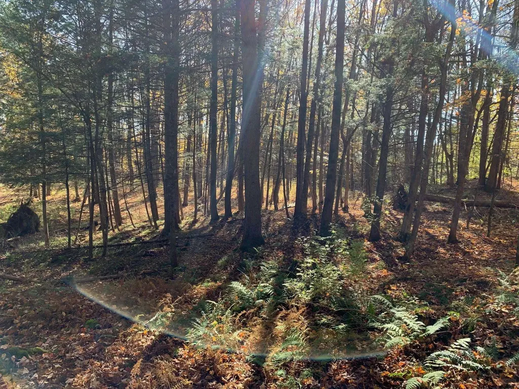 00 Vt Route 14 East Montpelier VT 05651