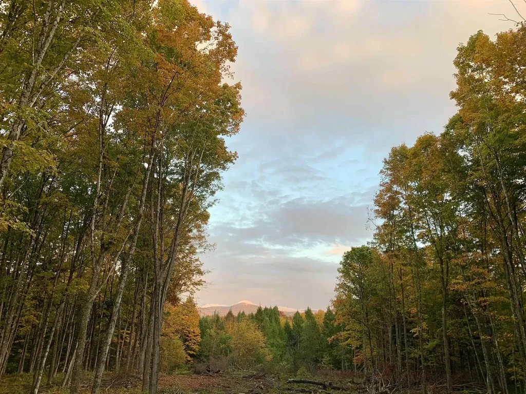 00 Vt Route 14 East Montpelier VT 05651