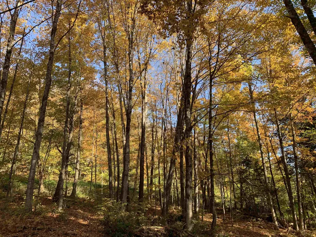 00 Vt Route 14 East Montpelier VT 05651