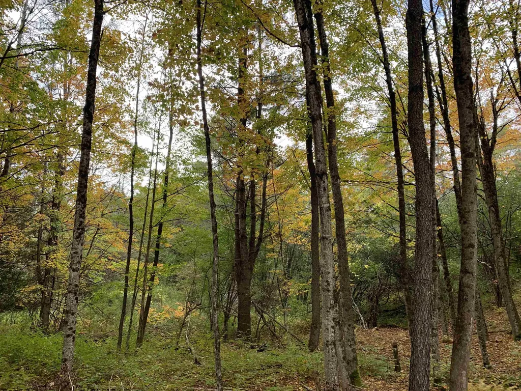 00 Vt Route 14 East Montpelier VT 05651