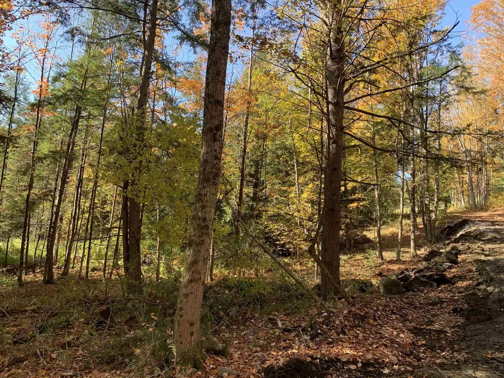 00 Vt Route 14 East Montpelier VT 05651