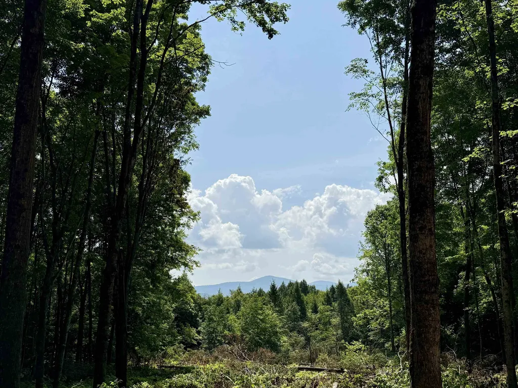 00 Vt Route 14 East Montpelier VT 05651