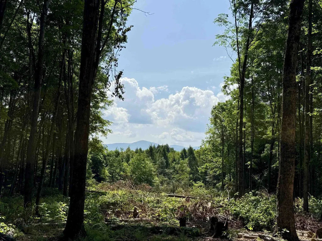 00 Vt Route 14 East Montpelier VT 05651