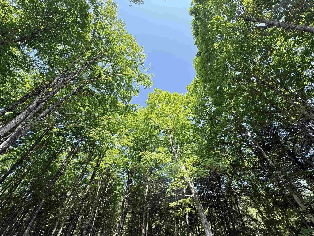 00 Vt Route 14 East Montpelier VT 05651