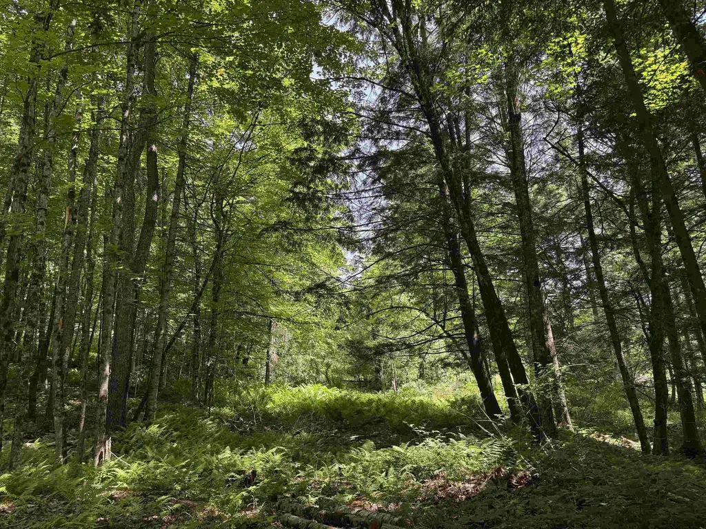 00 Vt Route 14 East Montpelier VT 05651