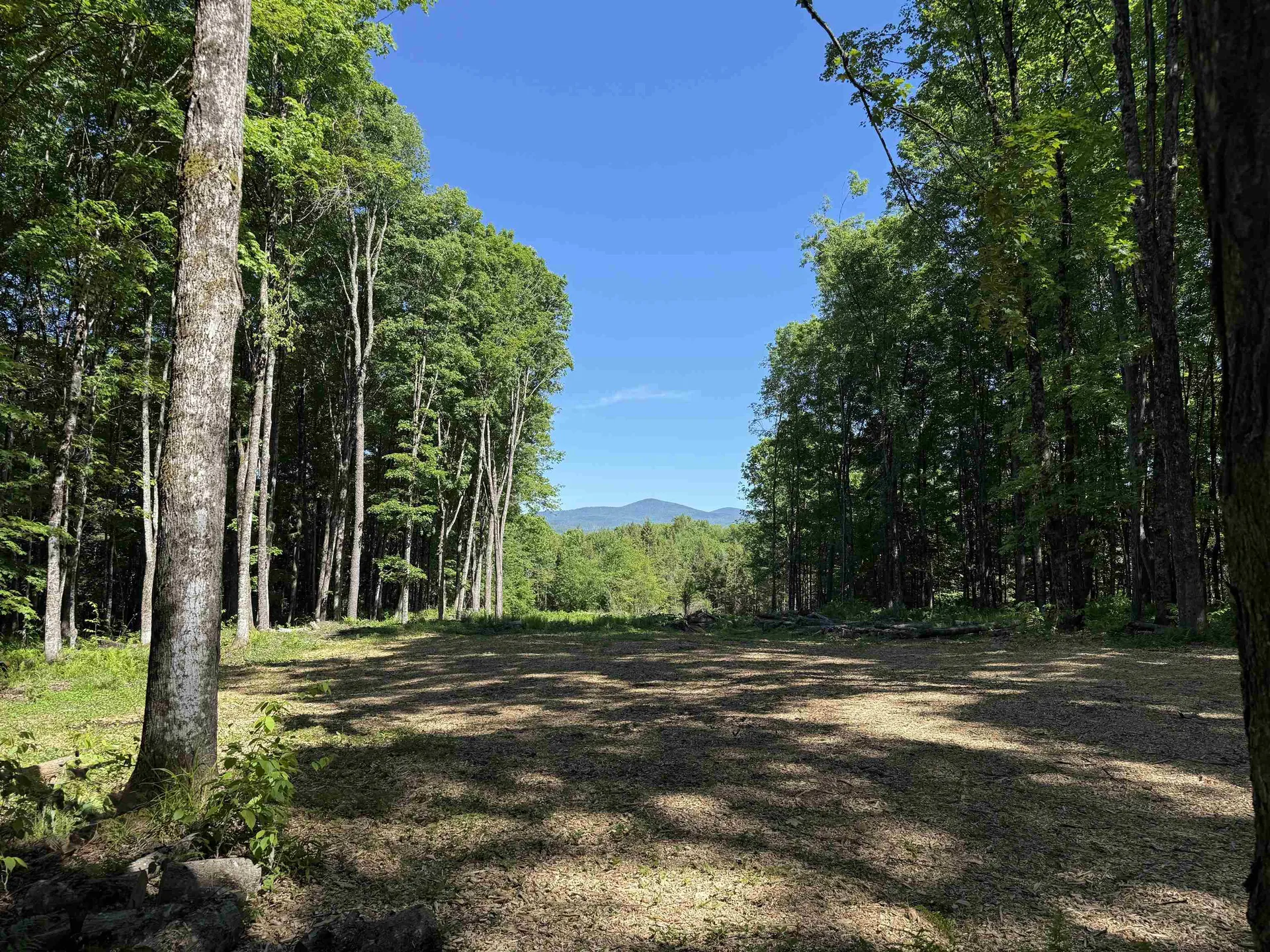 00 Vt Route 14 East Montpelier VT 05651