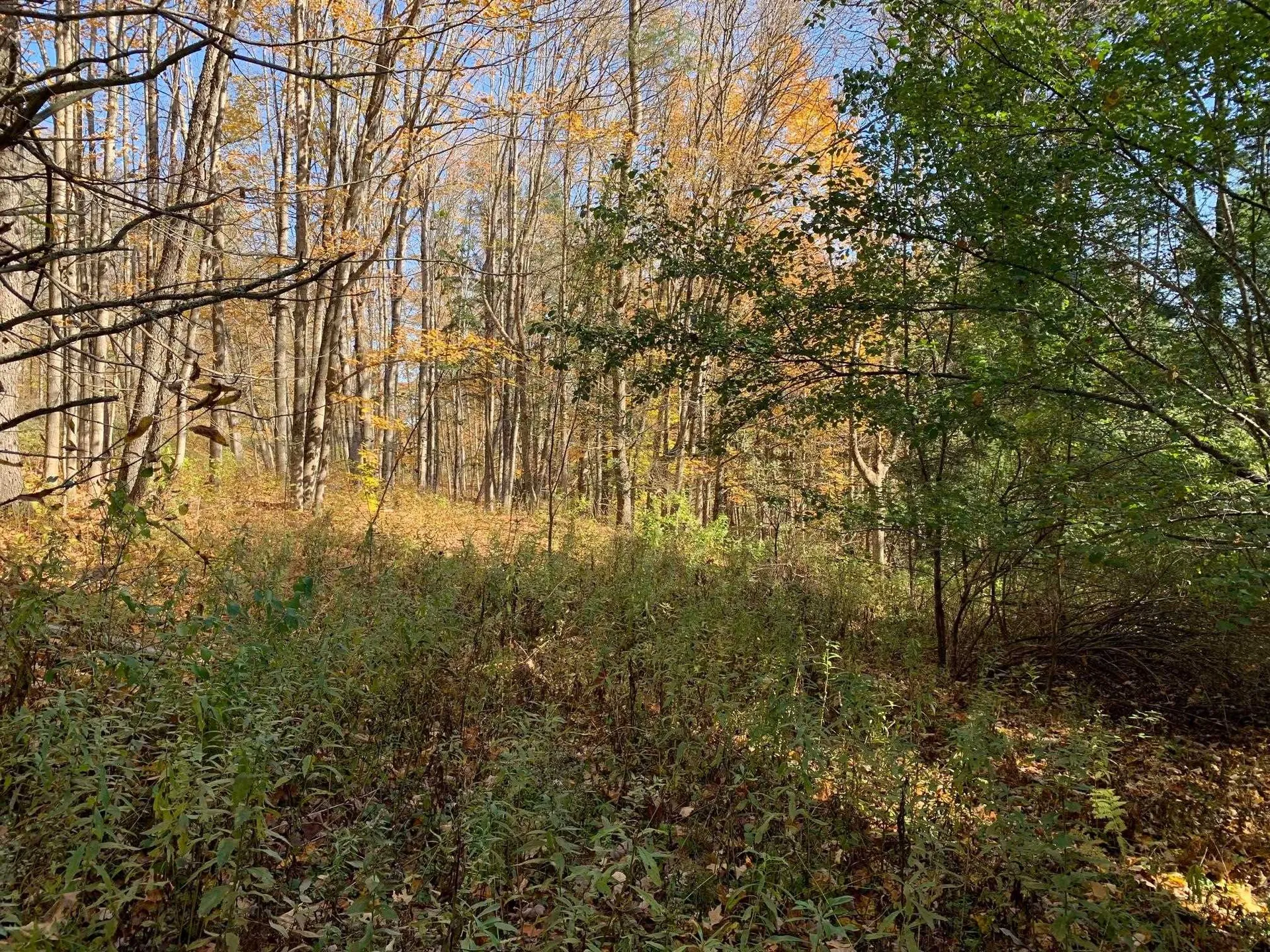 00 Vt Route 14 East Montpelier VT 05651