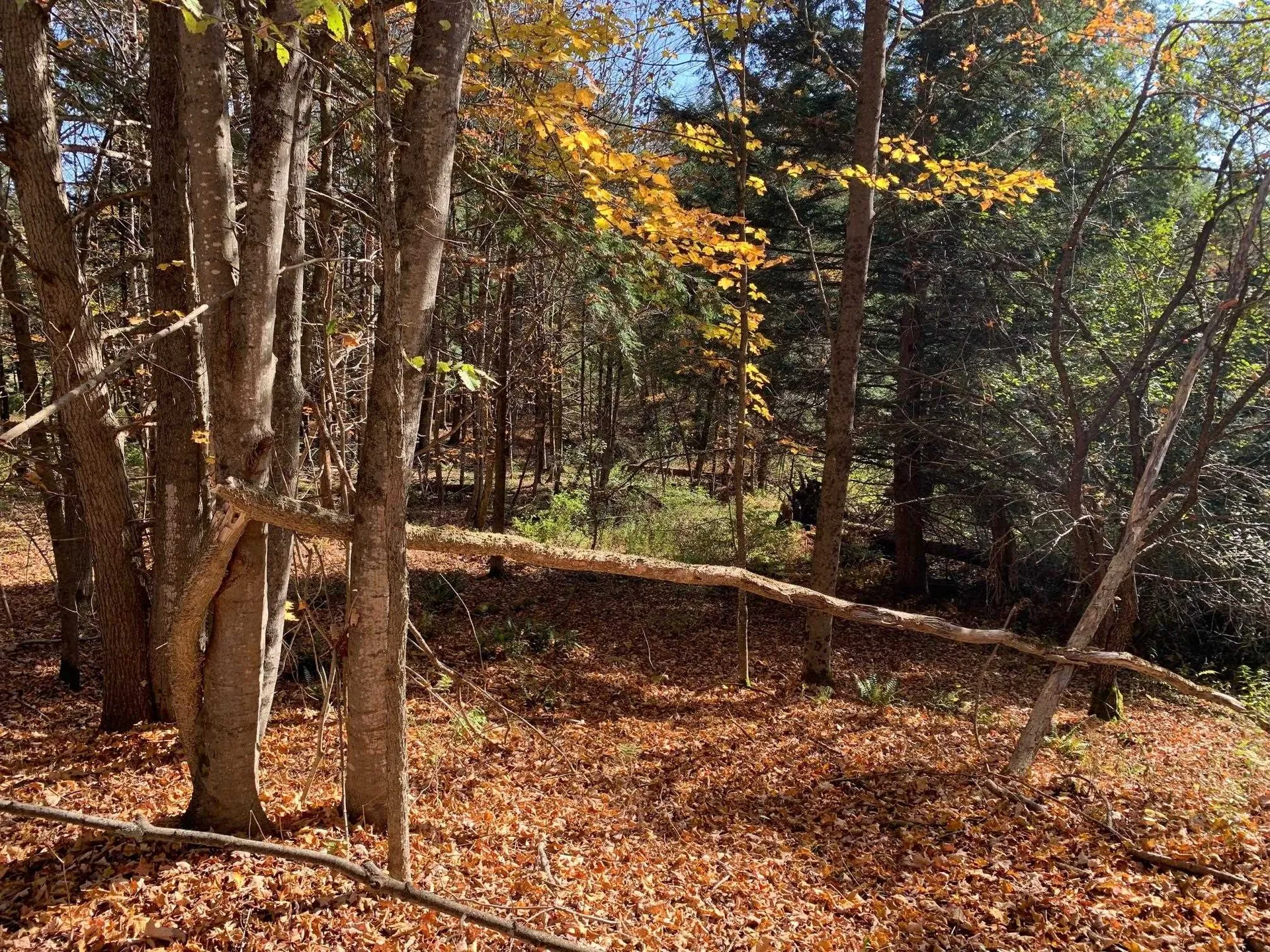 00 Vt Route 14 East Montpelier VT 05651