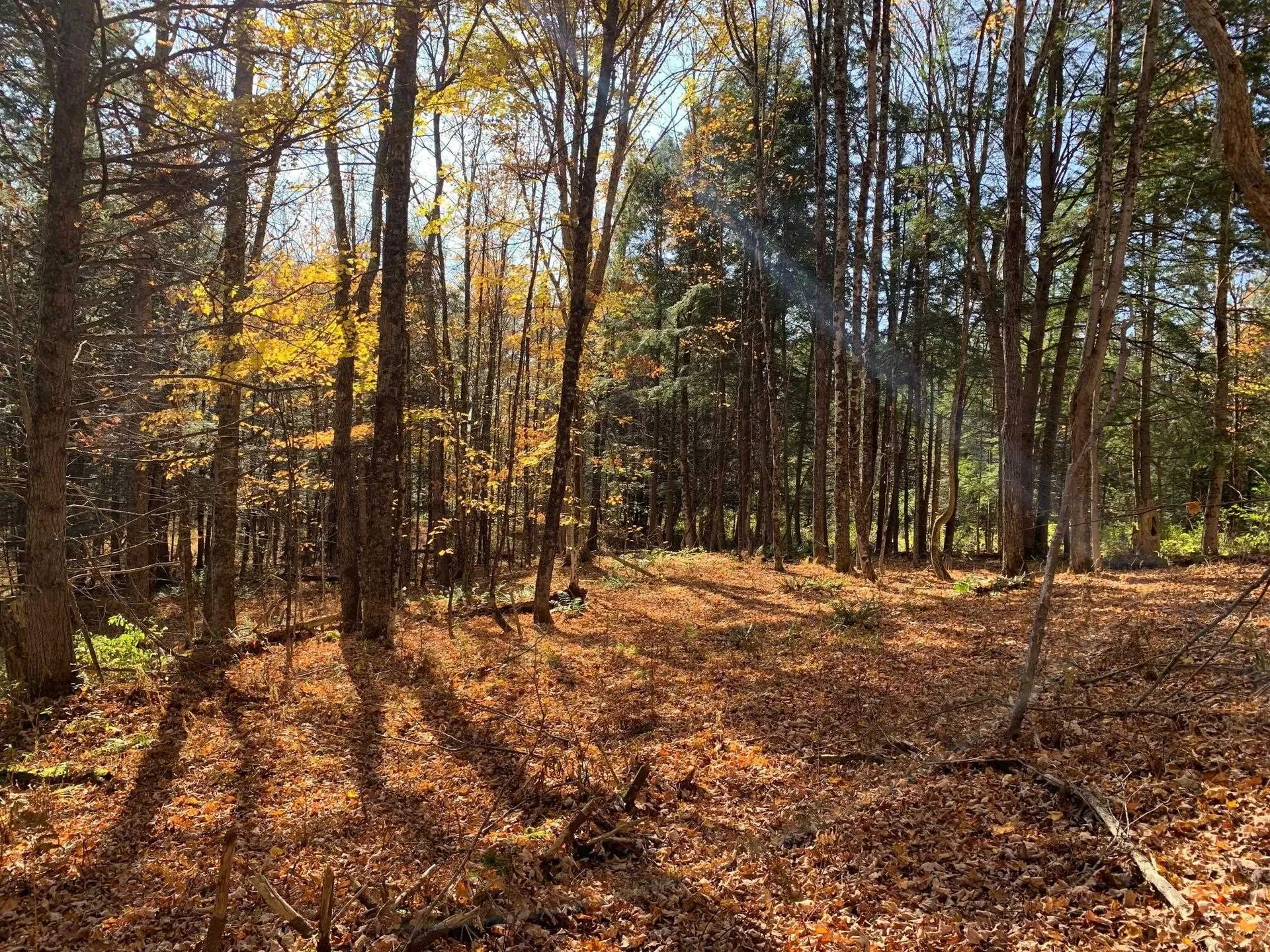 00 Vt Route 14 East Montpelier VT 05651