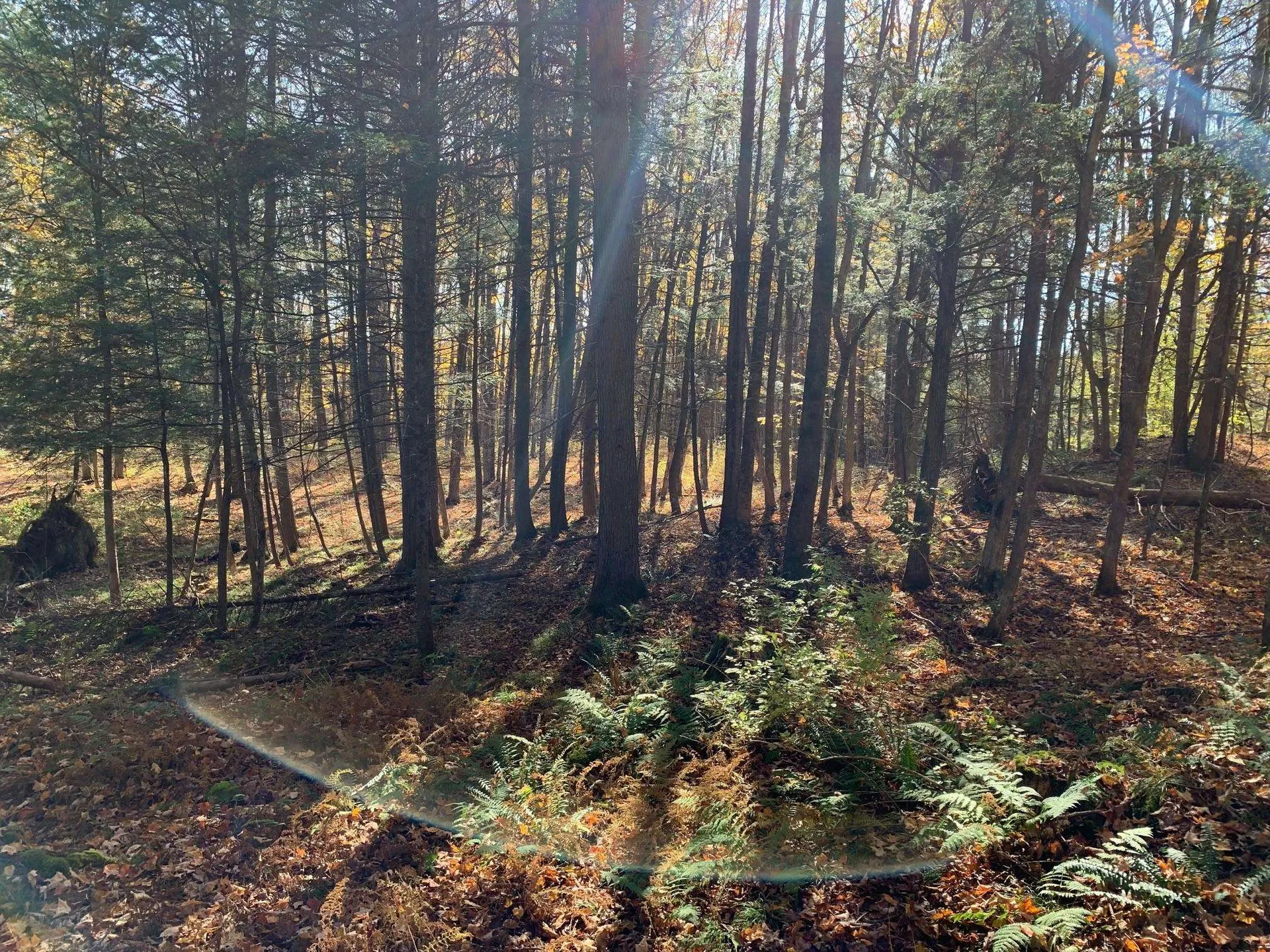 00 Vt Route 14 East Montpelier VT 05651