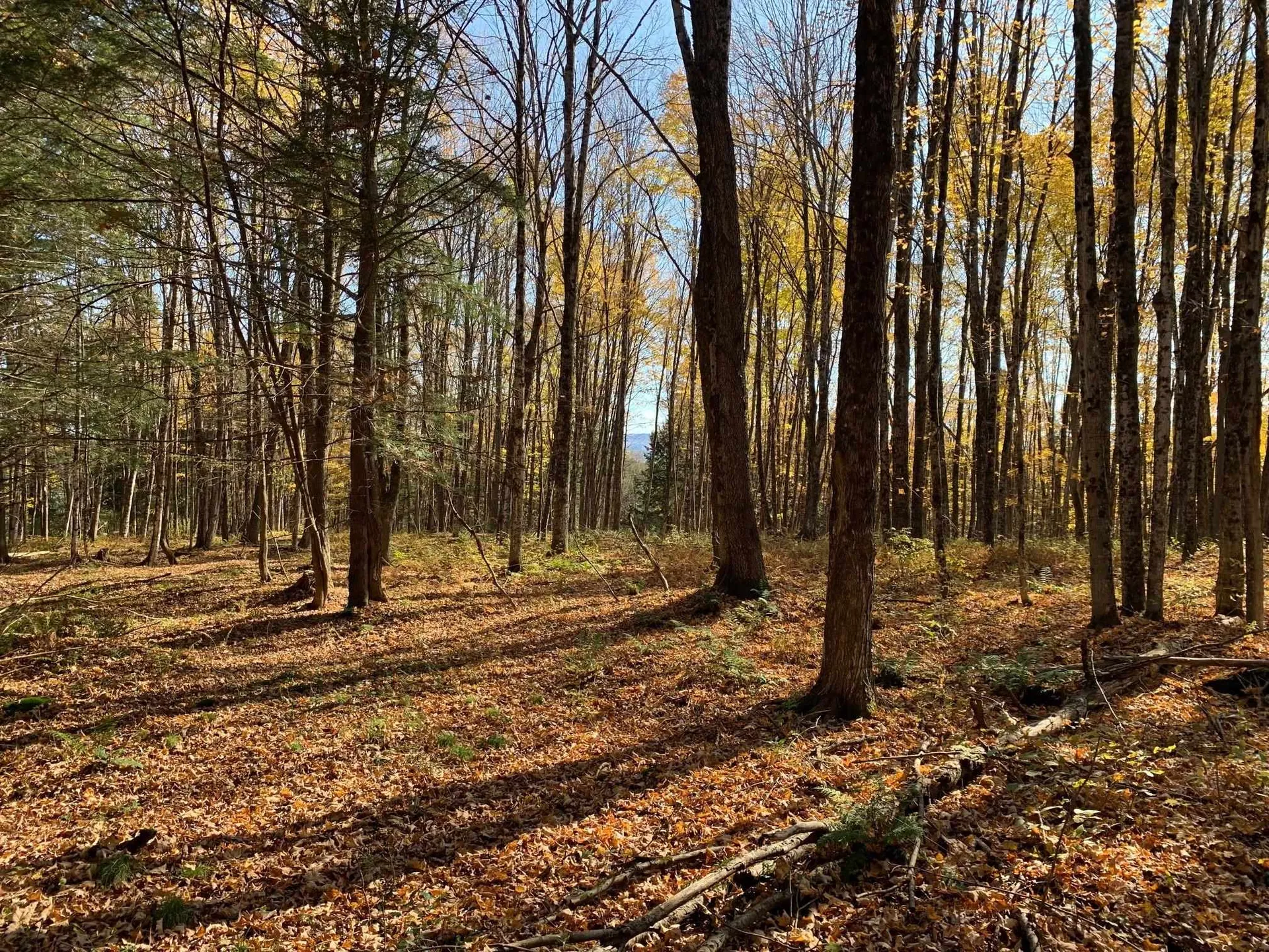 00 Vt Route 14 East Montpelier VT 05651