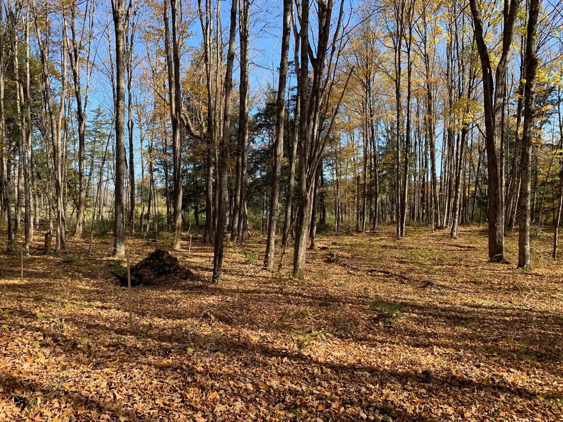 00 Vt Route 14 East Montpelier VT 05651